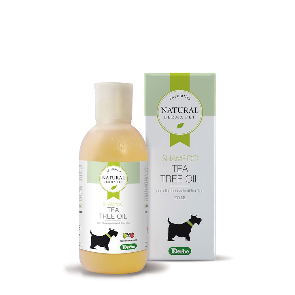 Shampoo Tea Tree Oil